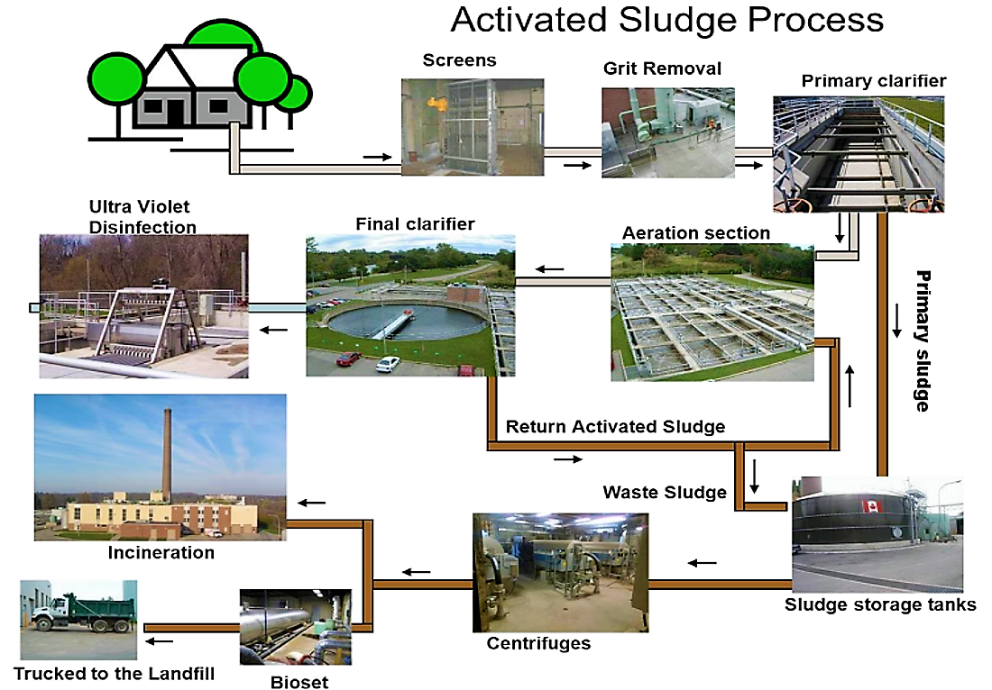 Activated Sludge | SSWM - Find tools for sustainable sanitation and water management!